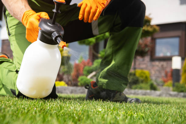 Best Local Pest Control Services  in Rio Communities, NM
