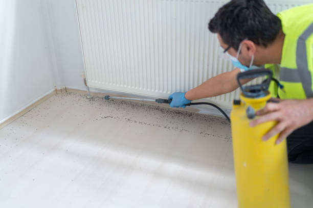 Best Cockroach Control Services  in Rio Communities, NM